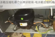 電冰箱壓縮機(jī)哪個品牌好耐用-電冰箱壓縮機(jī)哪個品牌好