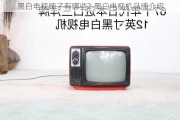 黑白電視牌子有哪些?-黑白電視機(jī)品牌介紹