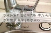 水龍頭漏水嗡嗡嗡的響-水龍頭漏水水管震動有鳴聲怎么辦