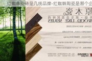 紅蜘蛛瓷磚是幾線品牌-紅蜘蛛陶瓷是哪個(gè)企業(yè)