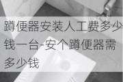 蹲便器安裝人工費(fèi)多少錢一臺(tái)-安個(gè)蹲便器需多少錢