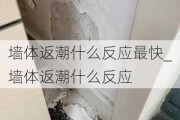 墻體返潮什么反應(yīng)最快_墻體返潮什么反應(yīng)