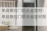 單扇推拉門鋁合金型材-單扇推拉門鋁合金型材圖片