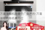 萬喜油煙機是哪個廠生產(chǎn)的-萬喜油煙機排名第幾位