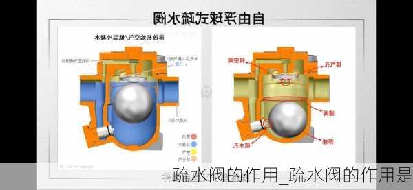 疏水閥的作用_疏水閥的作用是