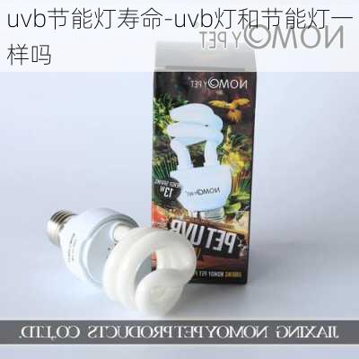 uvb節(jié)能燈壽命-uvb燈和節(jié)能燈一樣嗎