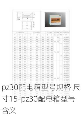 pz30配電箱型號規(guī)格 尺寸15-pz30配電箱型號含義