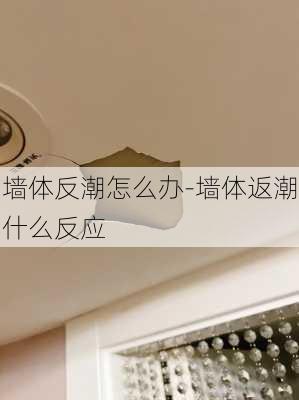 墻體反潮怎么辦-墻體返潮什么反應