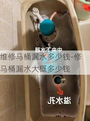 維修馬桶漏水多少錢-修馬桶漏水大概多少錢