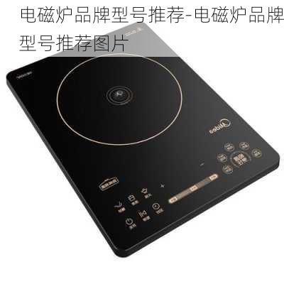 電磁爐品牌型號推薦-電磁爐品牌型號推薦圖片