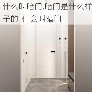 什么叫暗門,暗門是什么樣子的-什么叫暗門