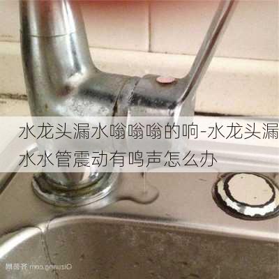 水龍頭漏水嗡嗡嗡的響-水龍頭漏水水管震動有鳴聲怎么辦