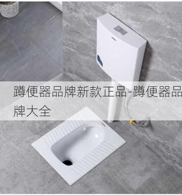 蹲便器品牌新款正品-蹲便器品牌大全