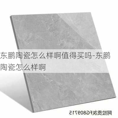 東鵬陶瓷怎么樣啊值得買嗎-東鵬陶瓷怎么樣啊