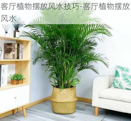 客廳植物擺放風水技巧-客廳植物擺放風水