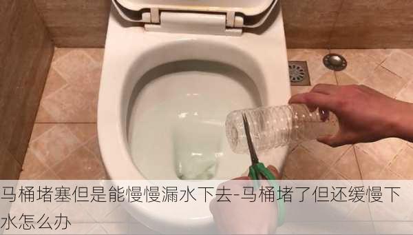 馬桶堵塞但是能慢慢漏水下去-馬桶堵了但還緩慢下水怎么辦