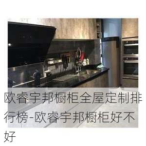 歐睿宇邦櫥柜全屋定制排行榜-歐睿宇邦櫥柜好不好