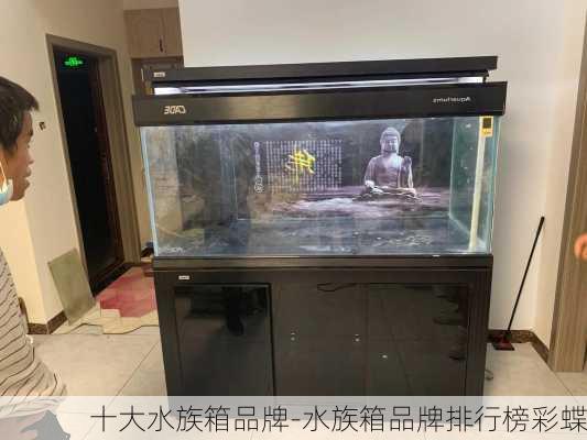 十大水族箱品牌-水族箱品牌排行榜彩蝶