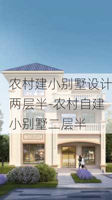 農(nóng)村建小別墅設(shè)計兩層半-農(nóng)村自建小別墅二層半