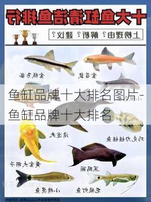 魚缸品牌十大排名圖片-魚缸品牌十大排名