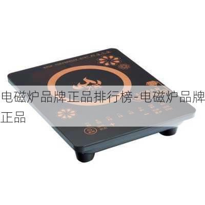 電磁爐品牌正品排行榜-電磁爐品牌正品