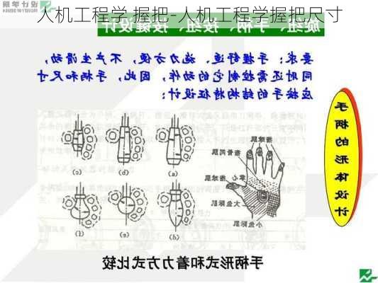 人機工程學 握把-人機工程學握把尺寸